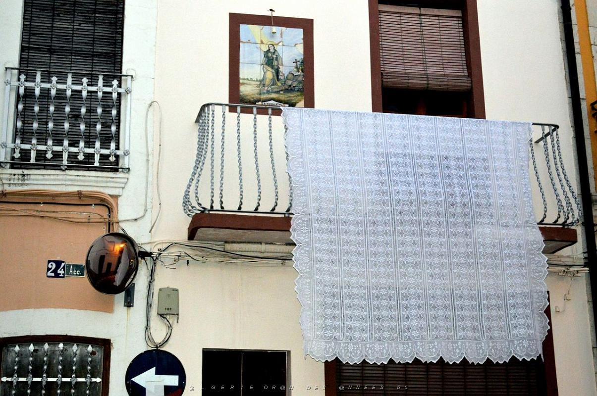 Gata 077.JPG